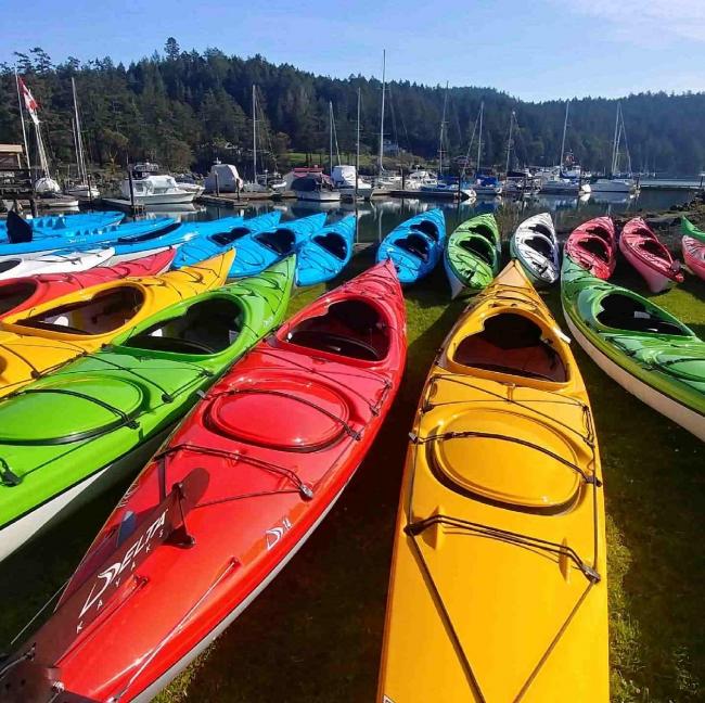 Delta Kayak Fleet Sale