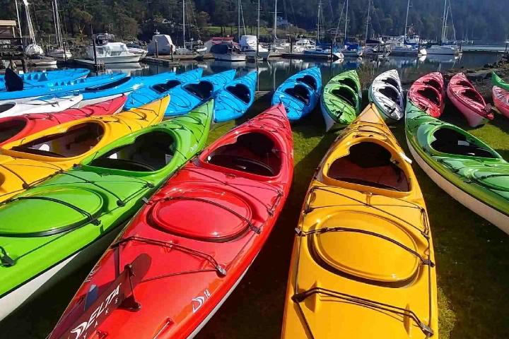 Delta Kayak Fleet Sale