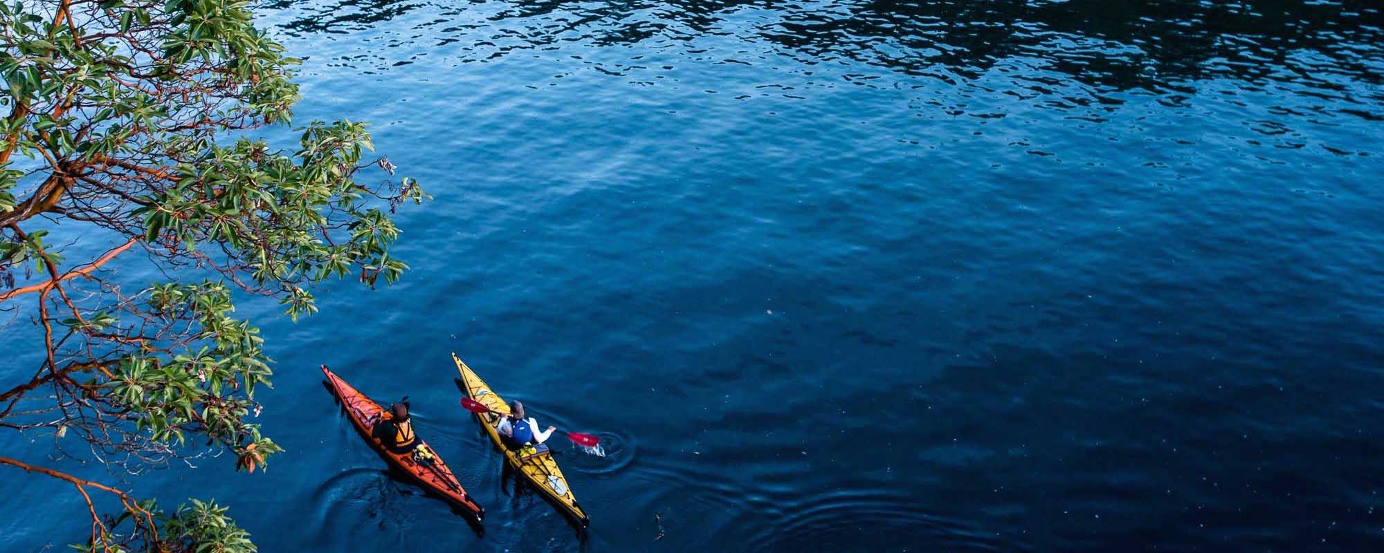 kayak tours around southern gulf islands led by  Pender Island Kayak Adventures team